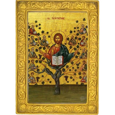 ΙΗΣΟΥΣ ΧΡΙΣΤΟΣ – Η Άμπελος