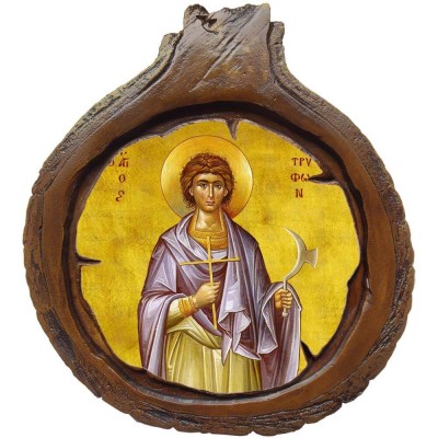 ΑΓΙΟΣ ΤΡΥΦΩΝ - Εικόνα Κορμός Δέντρου